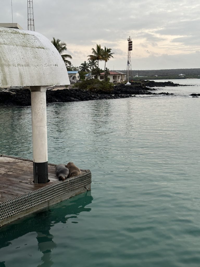 Galapagos Islands