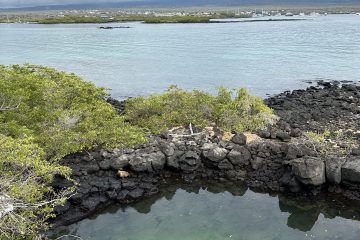 Galapagos Islands